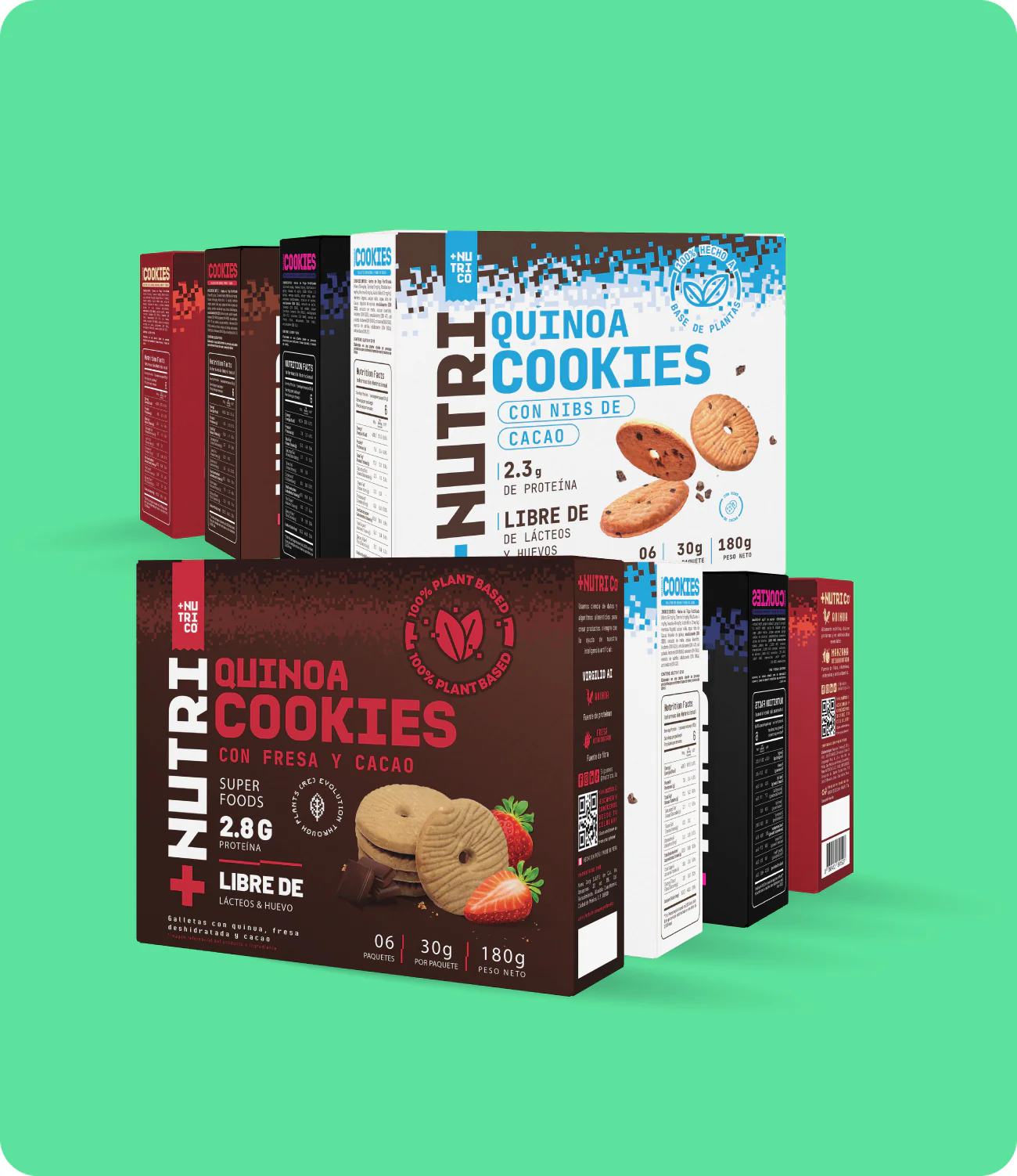 Galletas de Quinua Saludables 48 Unidades (8 cajas)