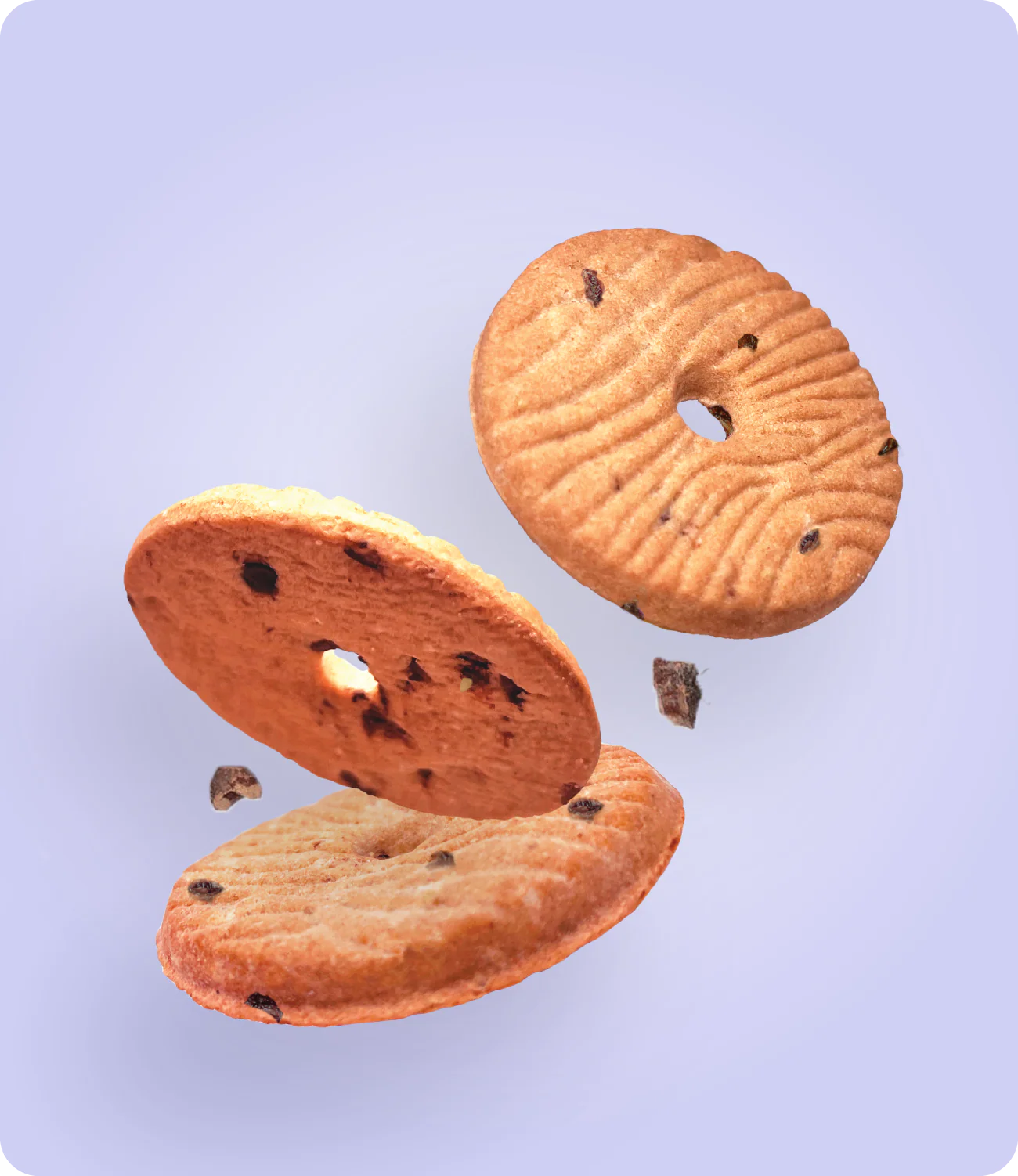 Galleta con Quinoa y Arándanos - Image 3