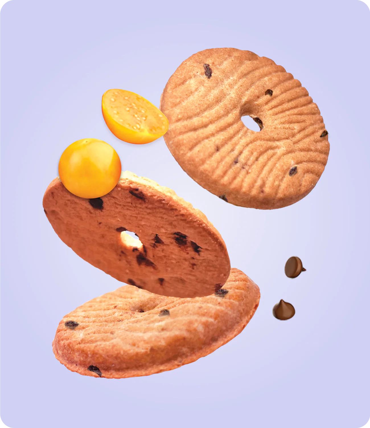 Galletas Sin Gluten con Quinua, Aguaymanto y Chispas de Chocolate - Image 3